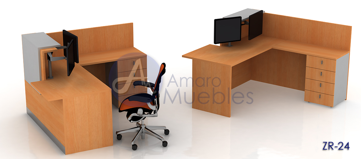 recepcion-zr-24-haya-faplac