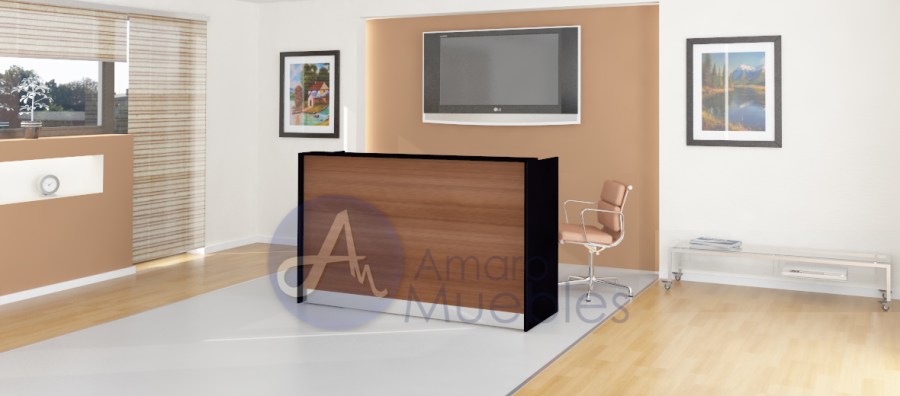 Smooth recepcion minimalista.jpg